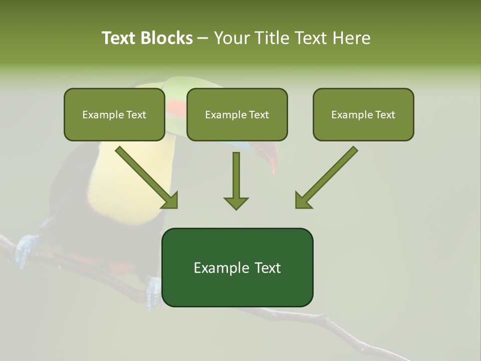 America Bill Green PowerPoint Template