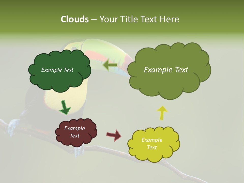 America Bill Green PowerPoint Template