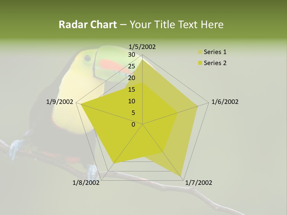 America Bill Green PowerPoint Template