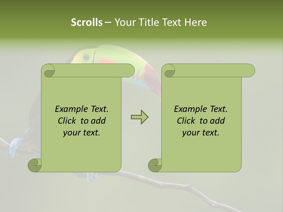 America Bill Green PowerPoint Template