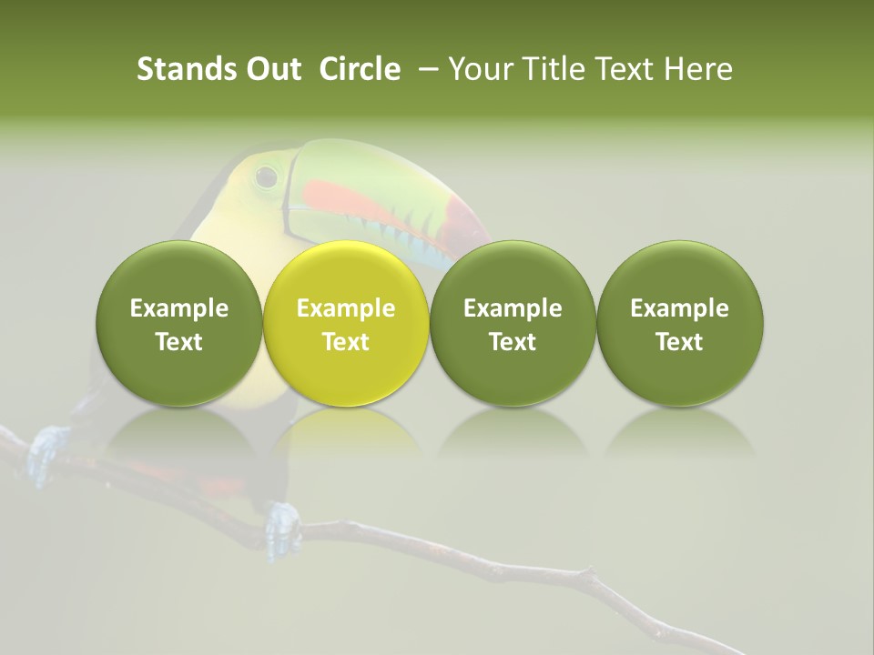 America Bill Green PowerPoint Template