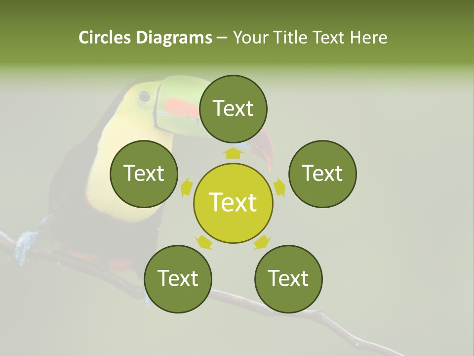 America Bill Green PowerPoint Template