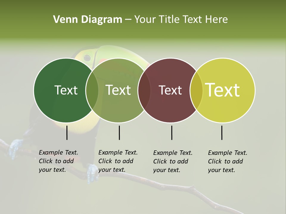 America Bill Green PowerPoint Template