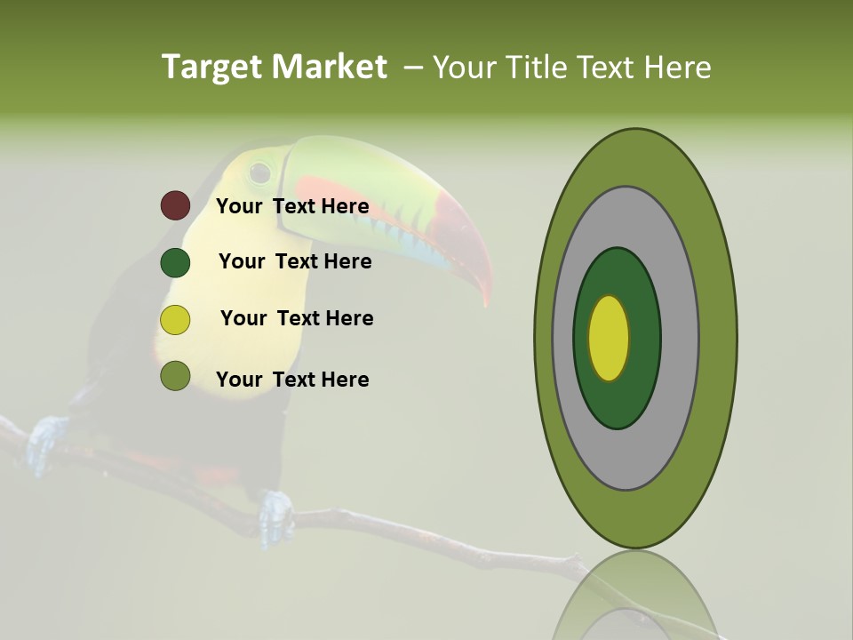 America Bill Green PowerPoint Template