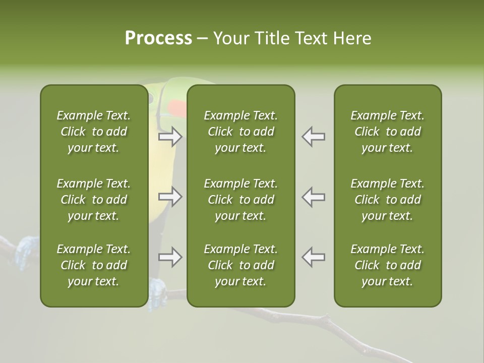 America Bill Green PowerPoint Template