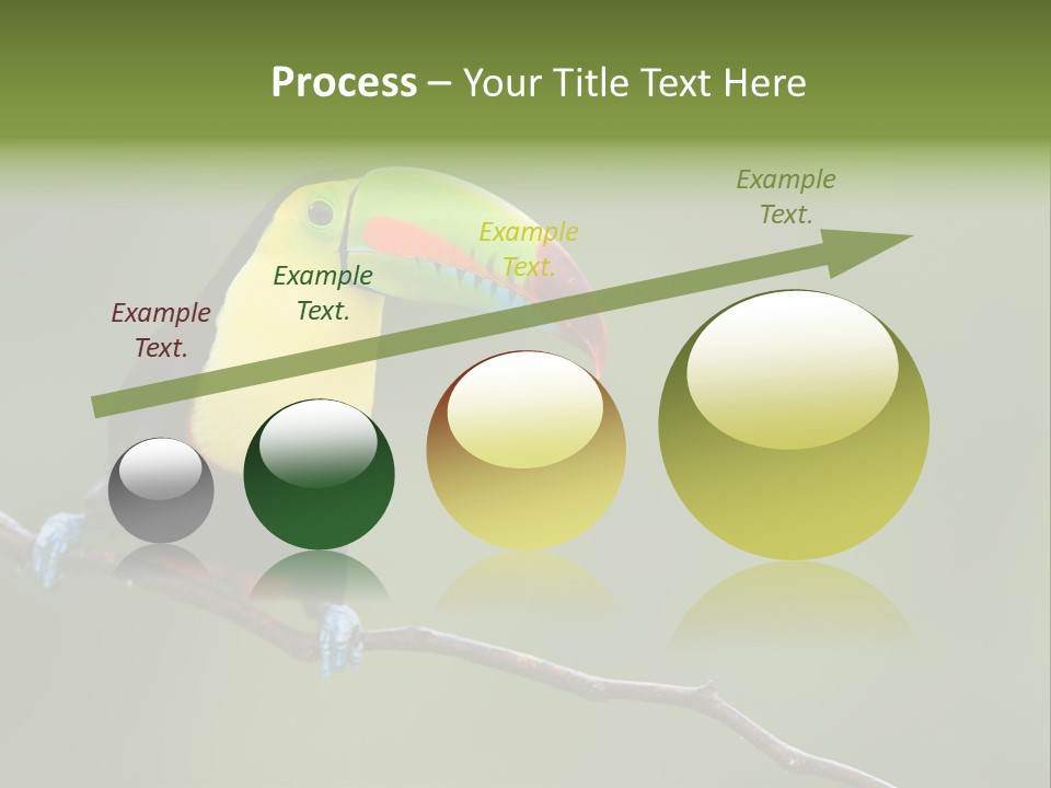 America Bill Green PowerPoint Template