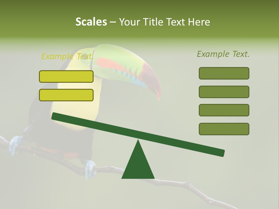 America Bill Green PowerPoint Template