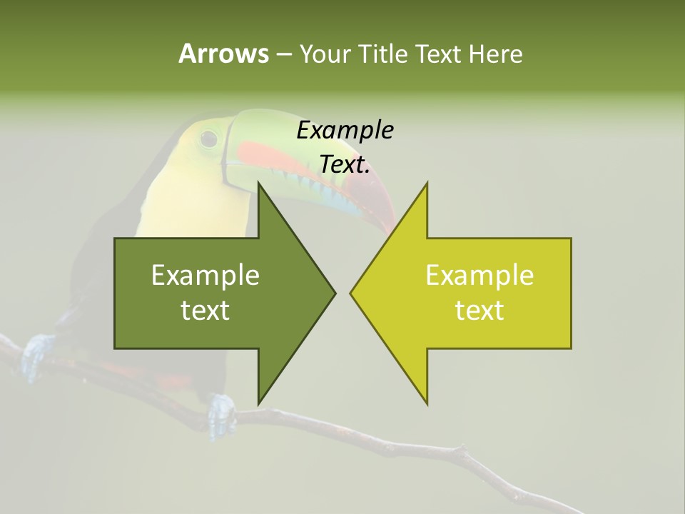 America Bill Green PowerPoint Template