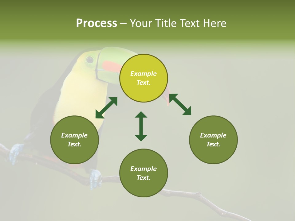 America Bill Green PowerPoint Template