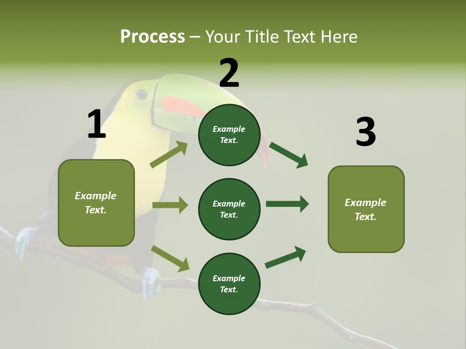 America Bill Green PowerPoint Template