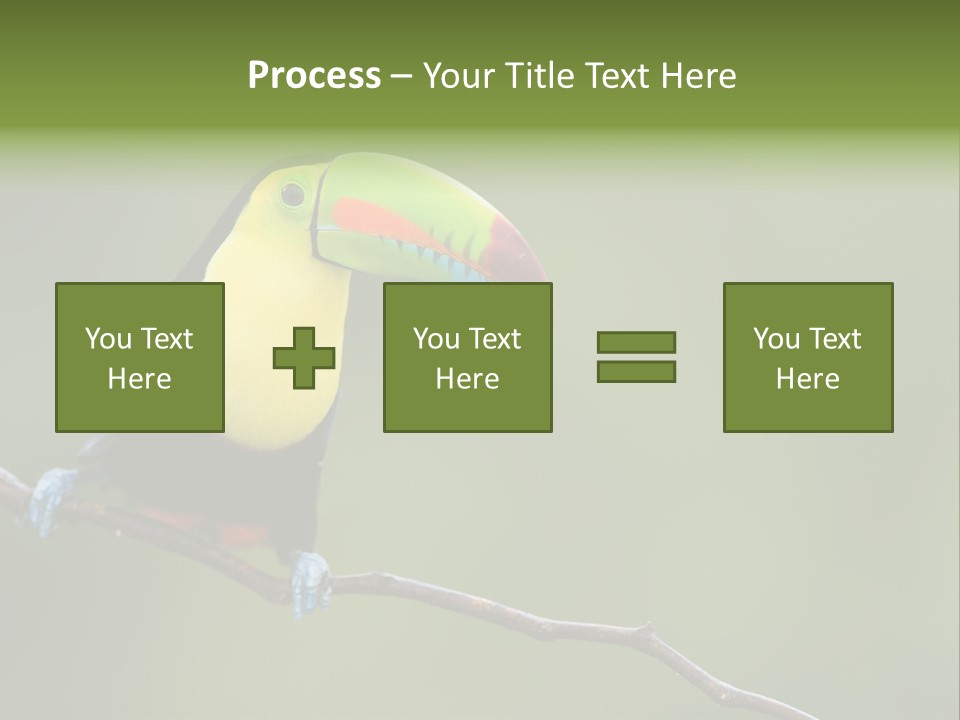 America Bill Green PowerPoint Template