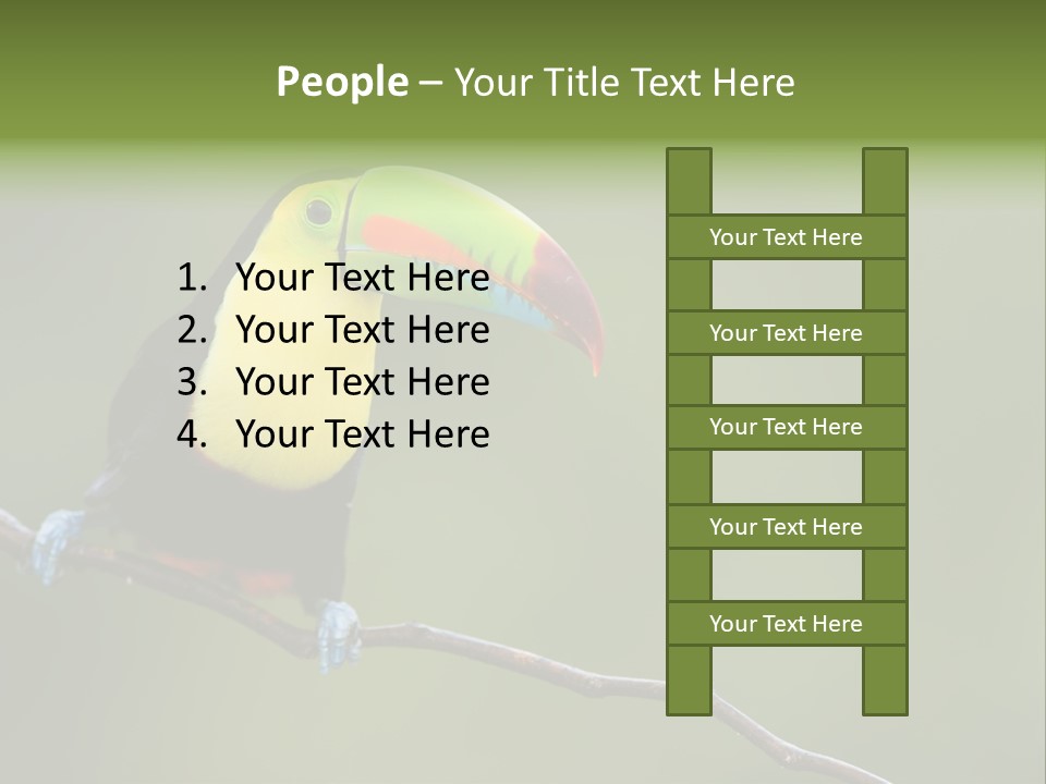 America Bill Green PowerPoint Template