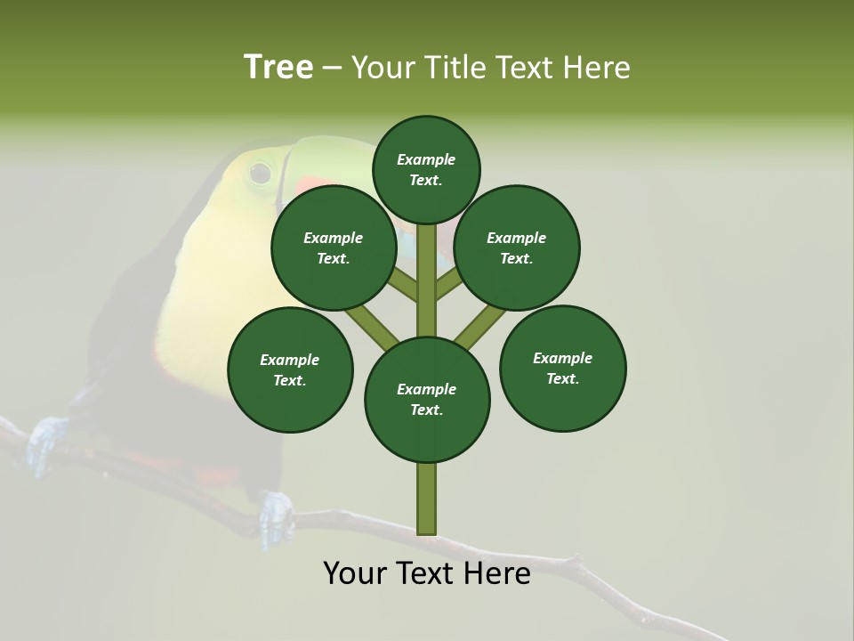 America Bill Green PowerPoint Template