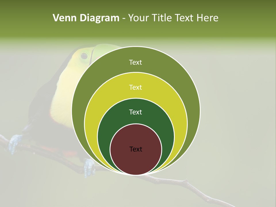 America Bill Green PowerPoint Template
