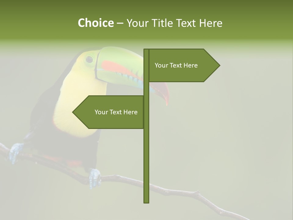 America Bill Green PowerPoint Template