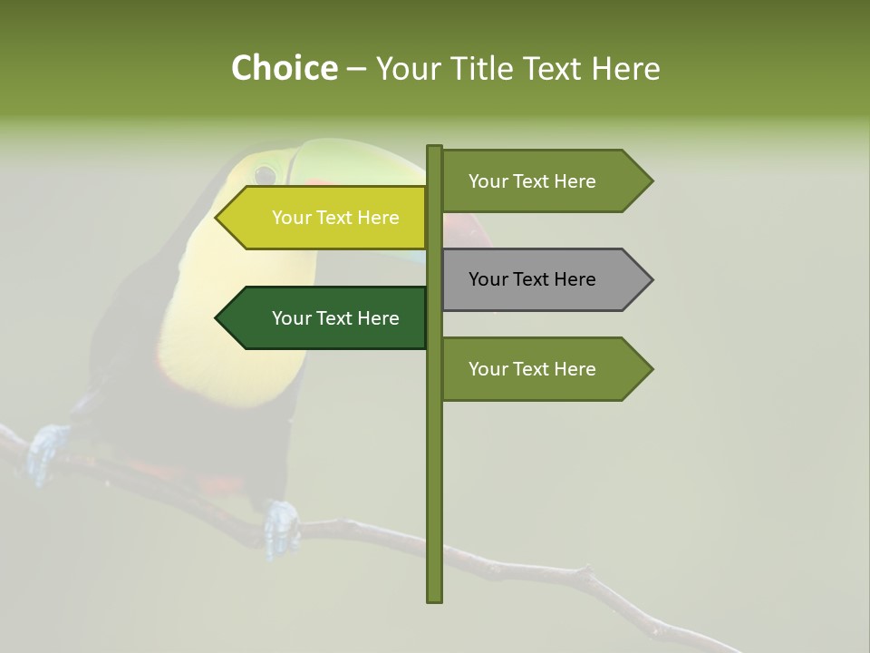America Bill Green PowerPoint Template