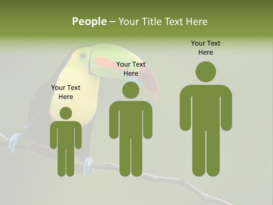 America Bill Green PowerPoint Template