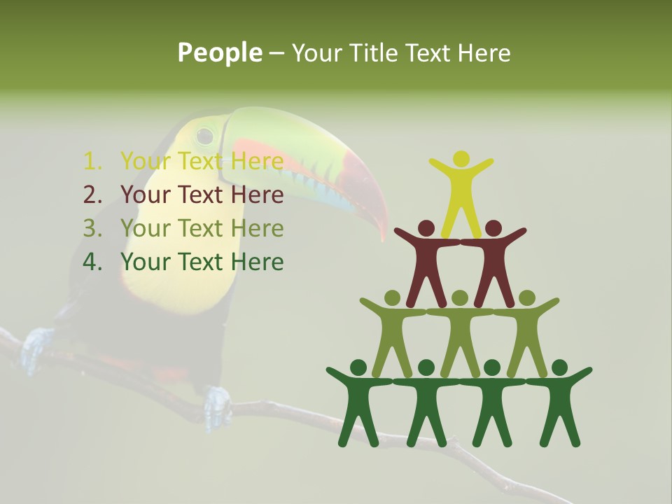 America Bill Green PowerPoint Template