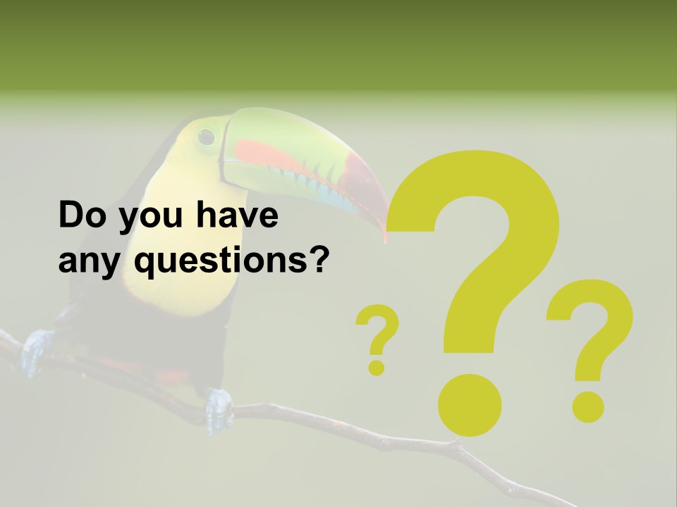 America Bill Green PowerPoint Template