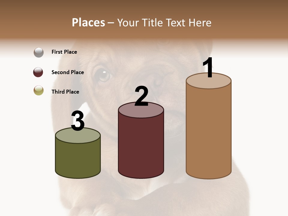 Square Image Brown Young PowerPoint Template