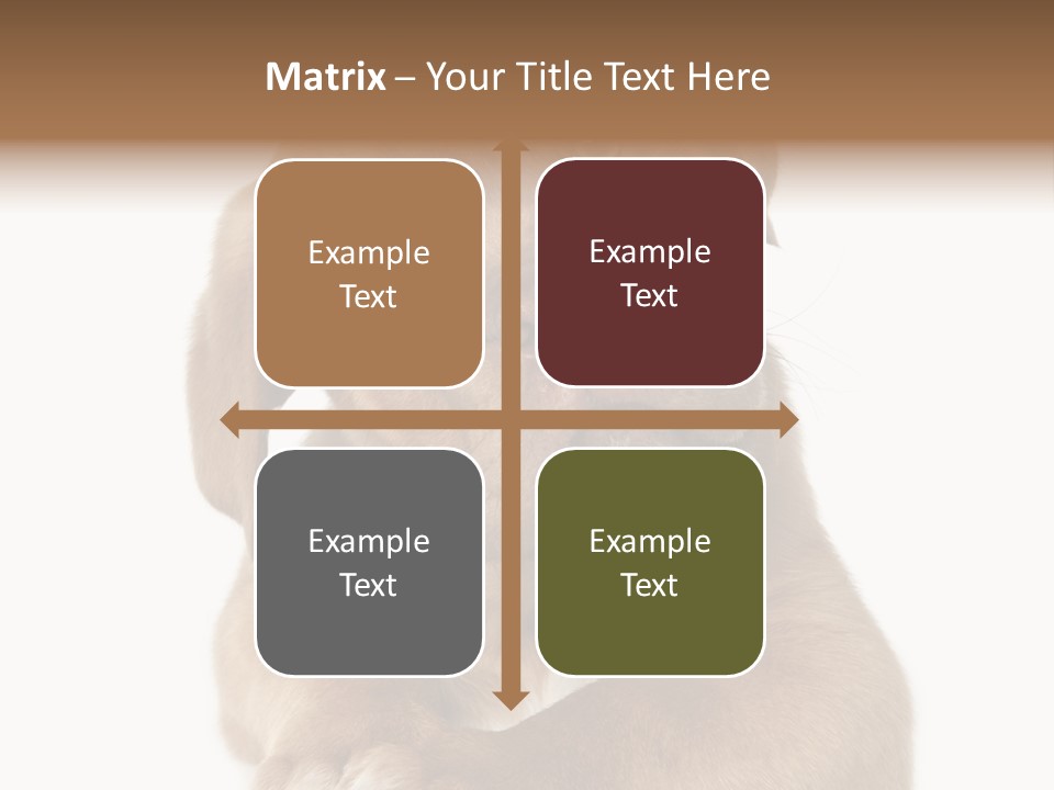 Square Image Brown Young PowerPoint Template