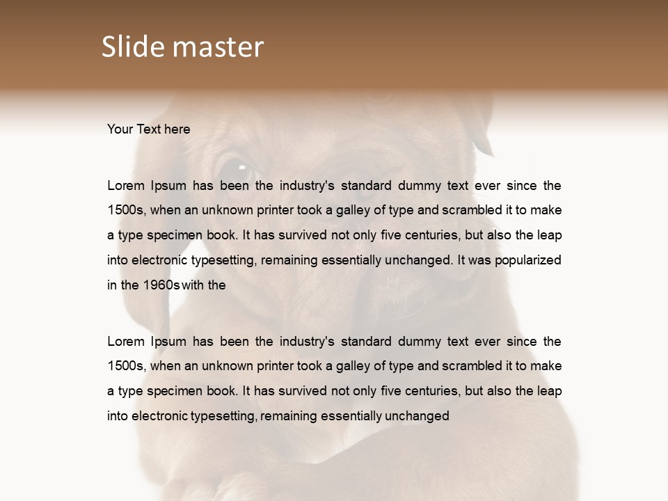 Square Image Brown Young PowerPoint Template