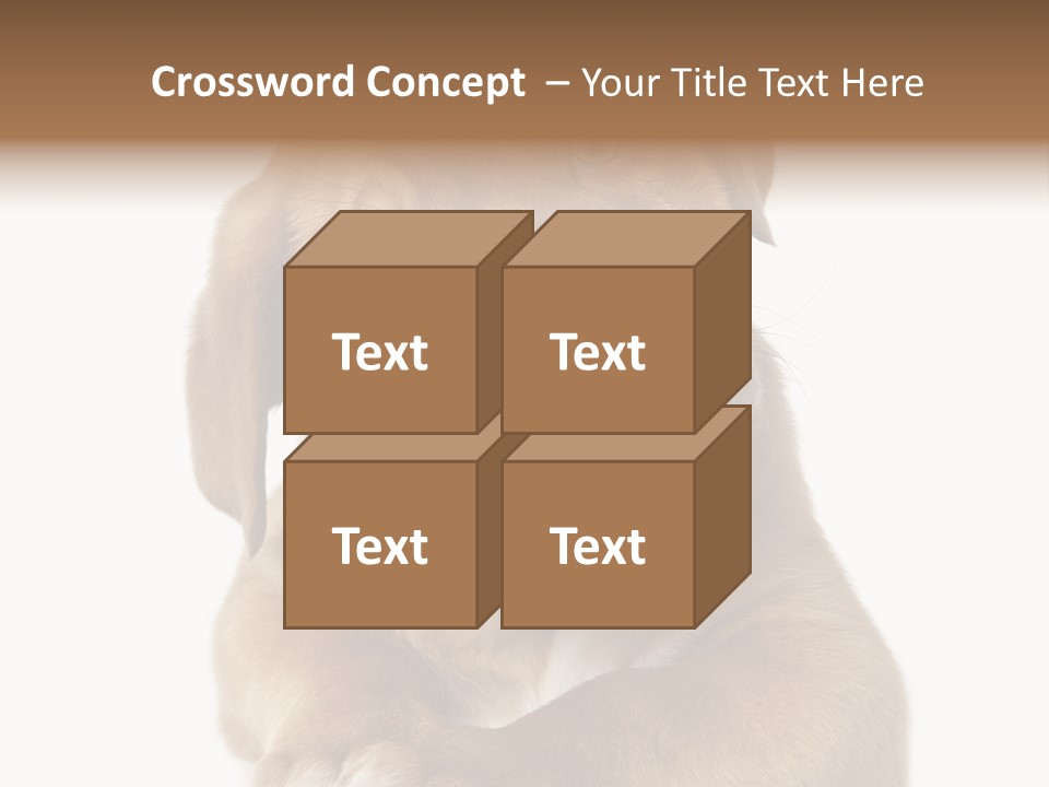 Square Image Brown Young PowerPoint Template