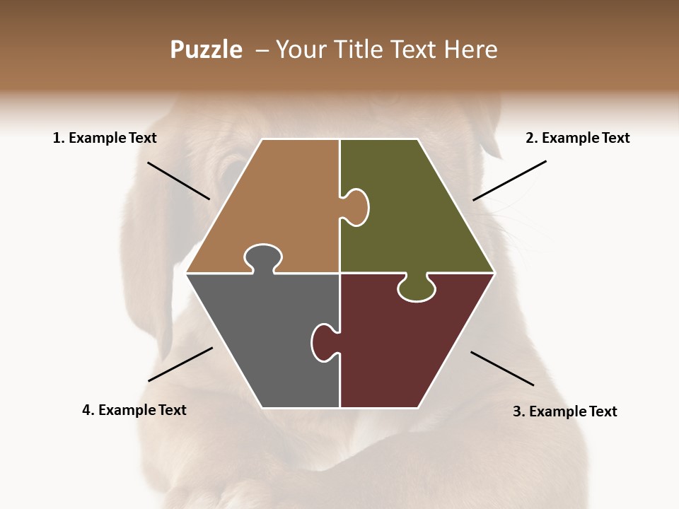 Square Image Brown Young PowerPoint Template