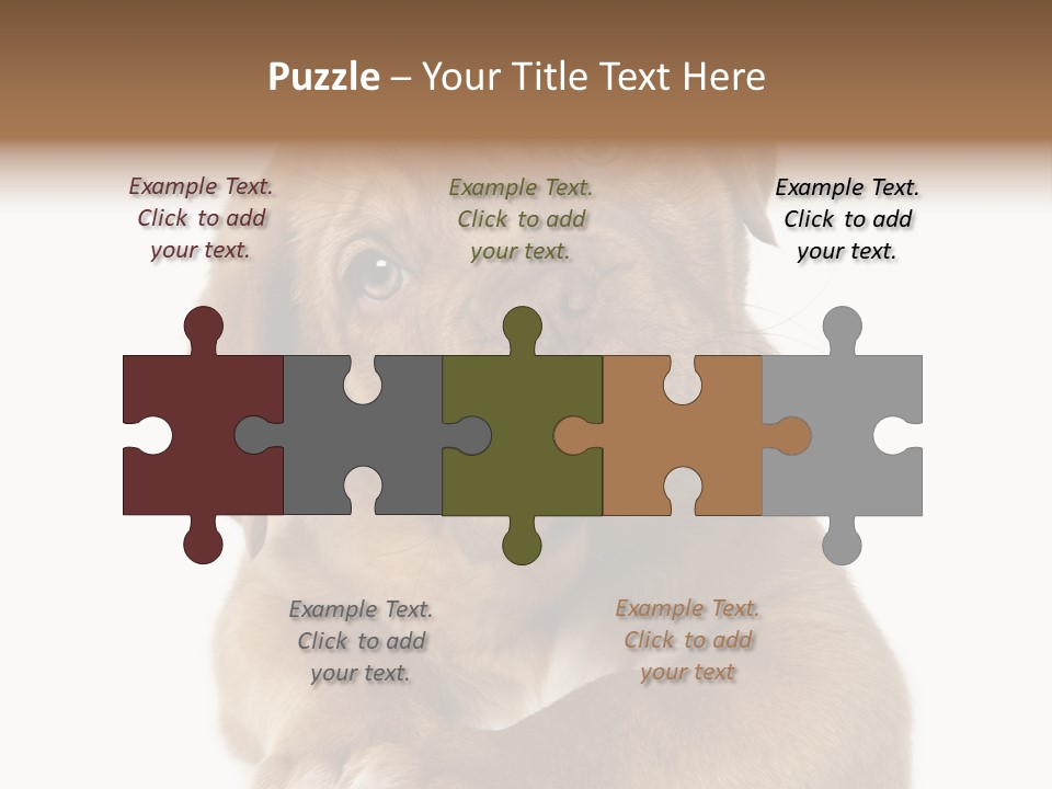 Square Image Brown Young PowerPoint Template