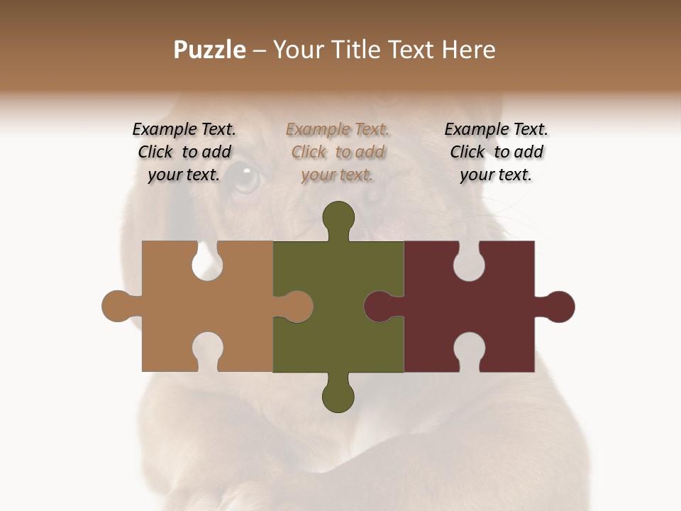 Square Image Brown Young PowerPoint Template