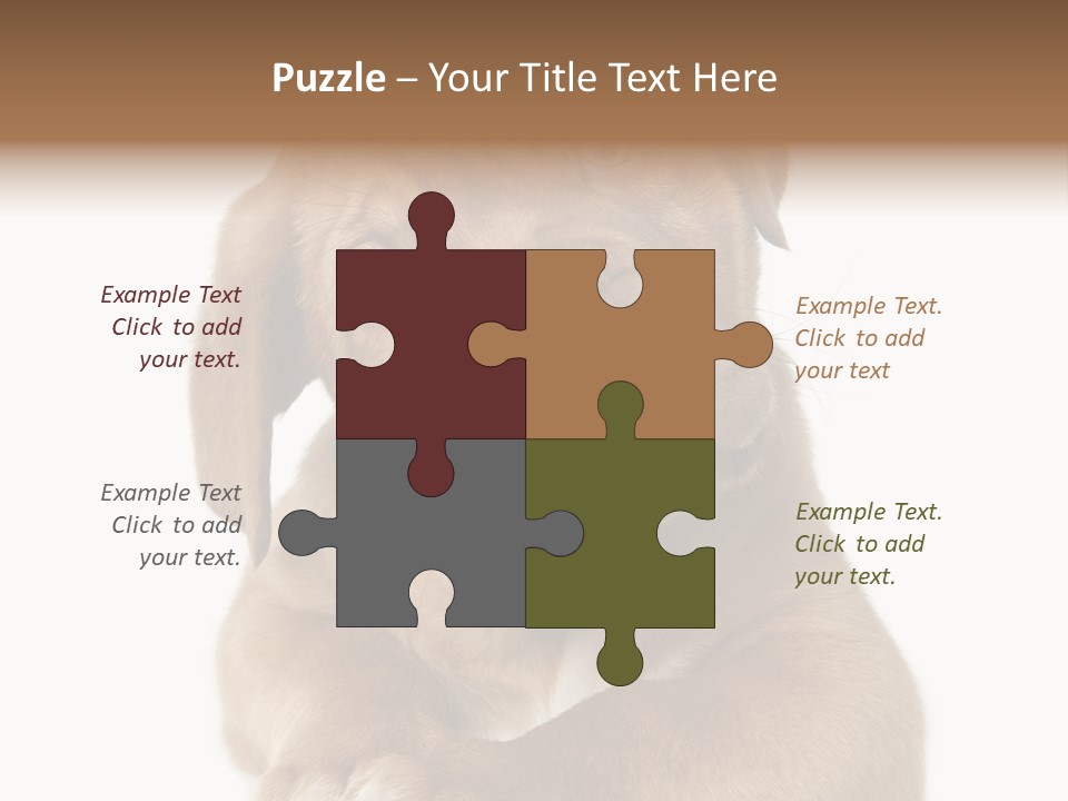 Square Image Brown Young PowerPoint Template