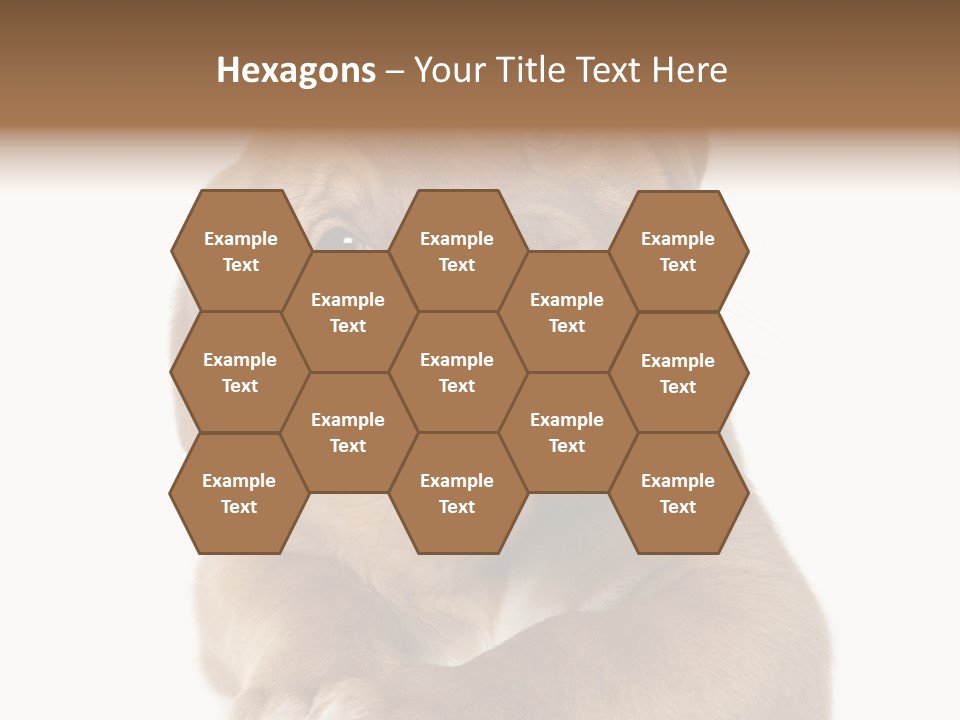 Square Image Brown Young PowerPoint Template