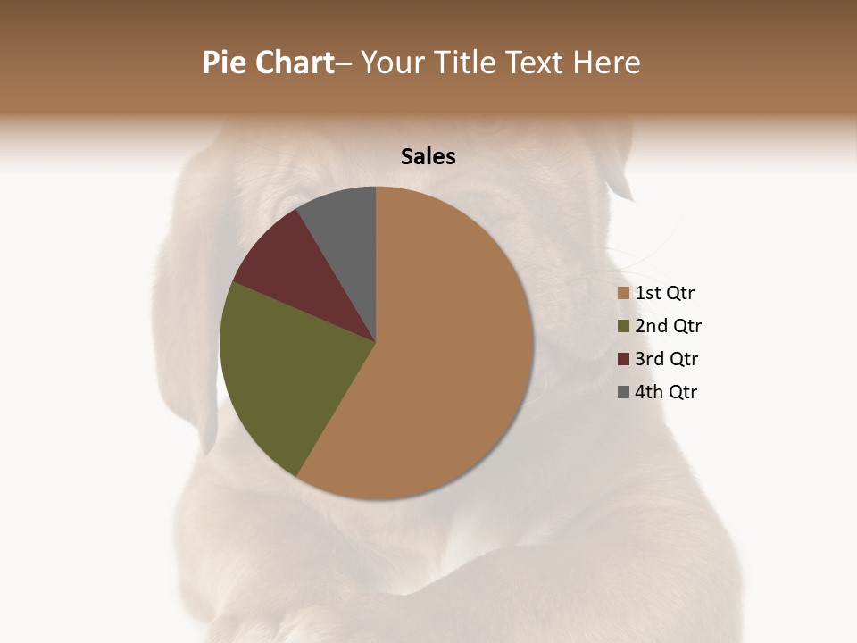 Square Image Brown Young PowerPoint Template