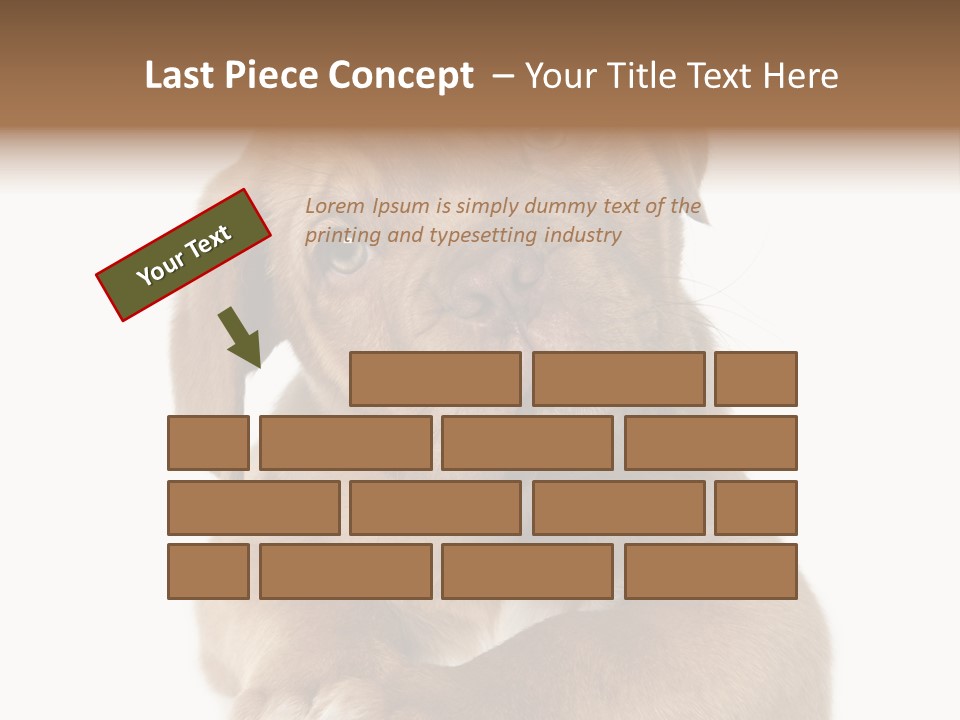 Square Image Brown Young PowerPoint Template