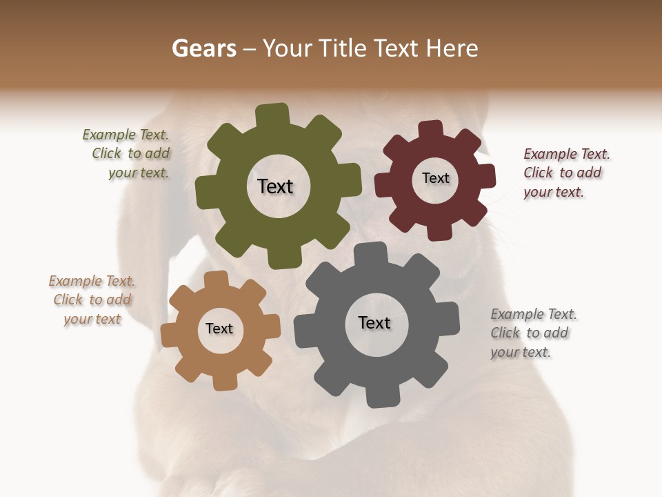 Square Image Brown Young PowerPoint Template