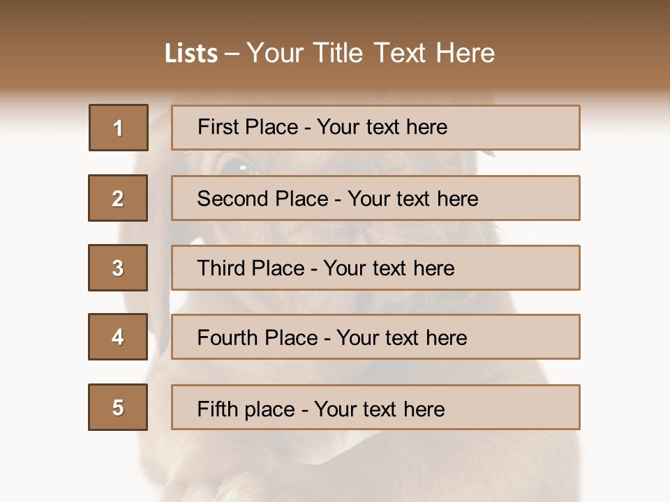 Square Image Brown Young PowerPoint Template