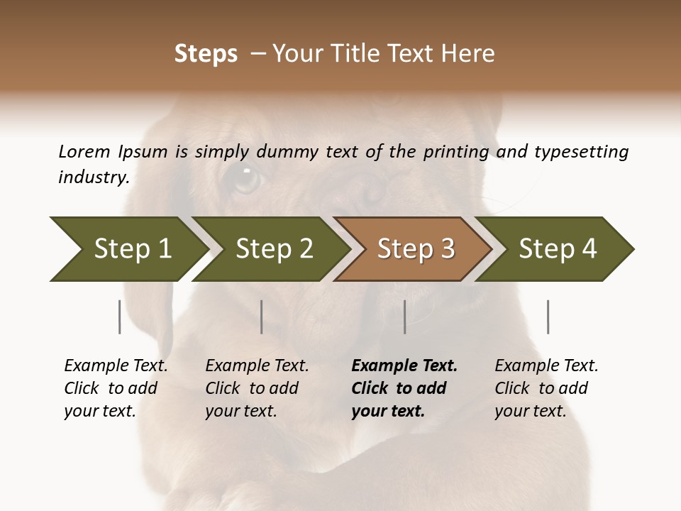 Square Image Brown Young PowerPoint Template