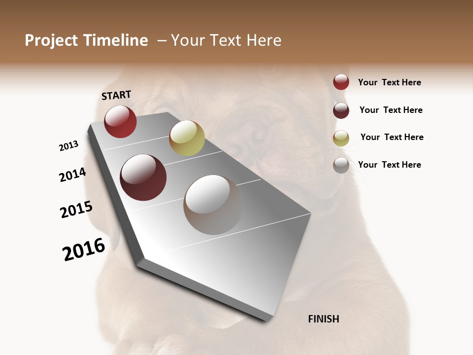 Square Image Brown Young PowerPoint Template