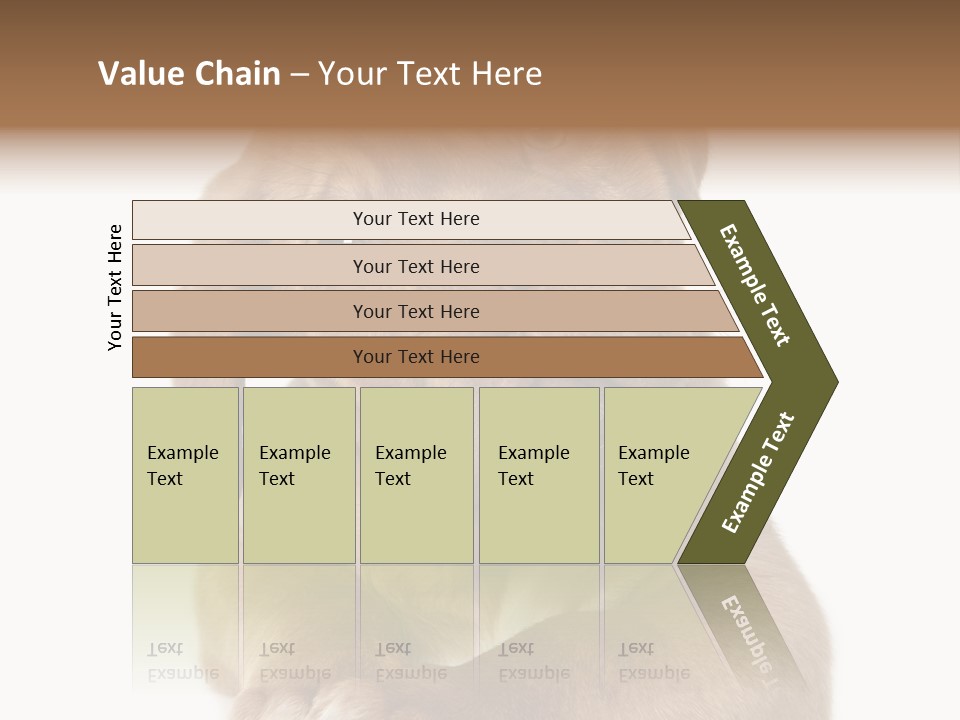 Square Image Brown Young PowerPoint Template