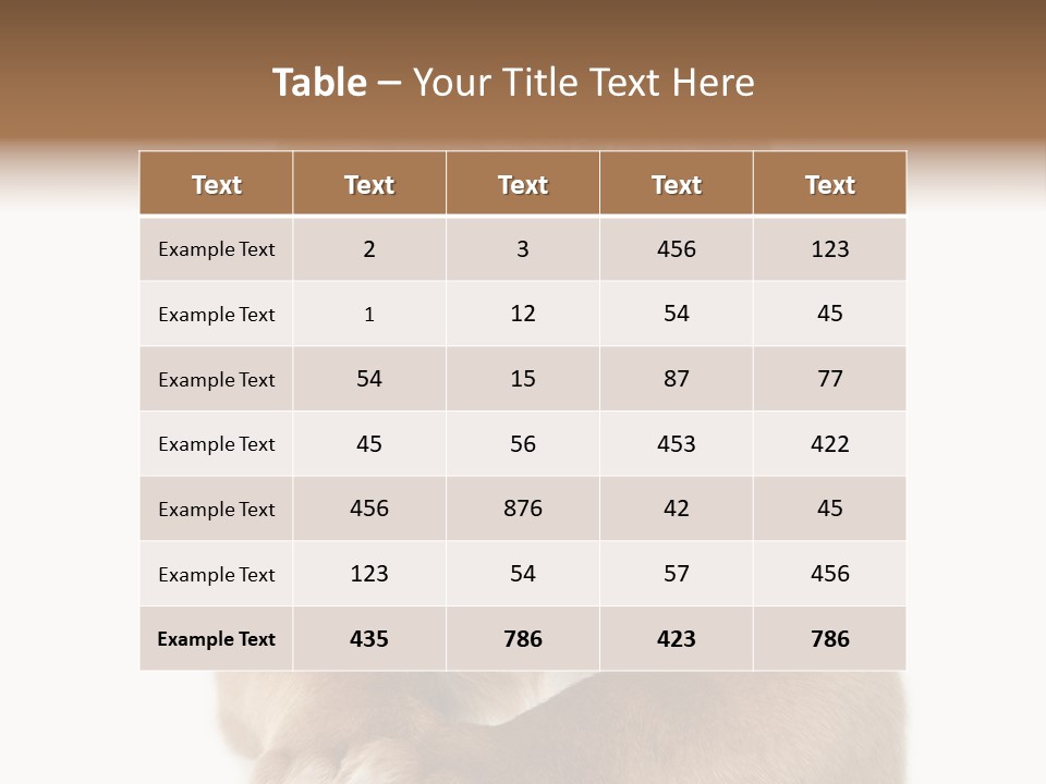 Square Image Brown Young PowerPoint Template