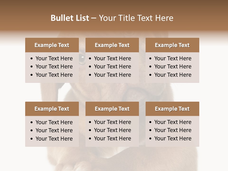 Square Image Brown Young PowerPoint Template