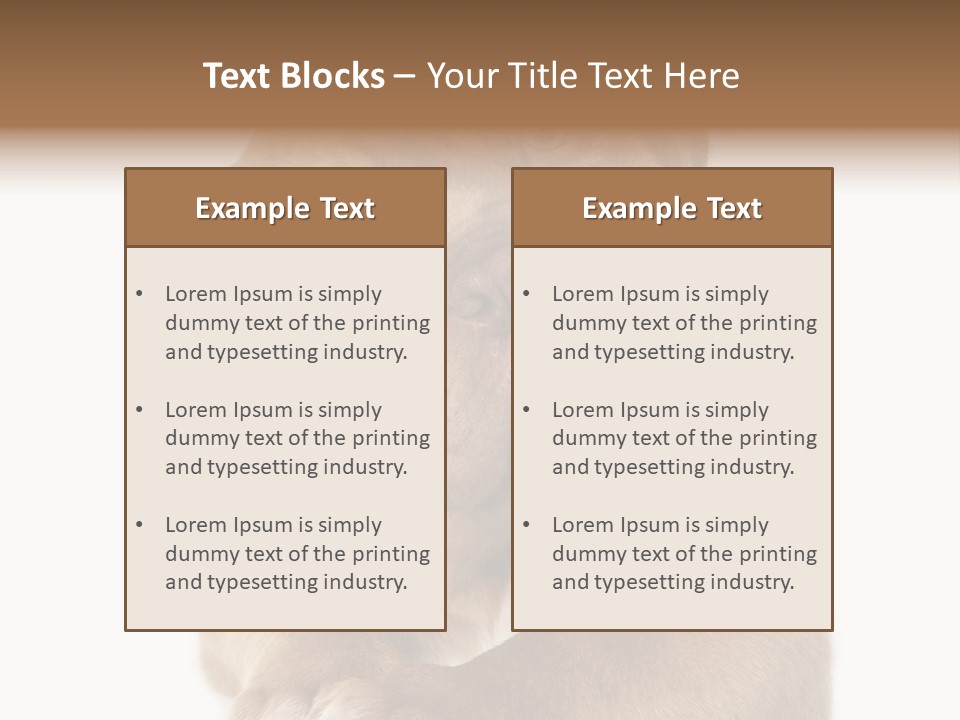 Square Image Brown Young PowerPoint Template