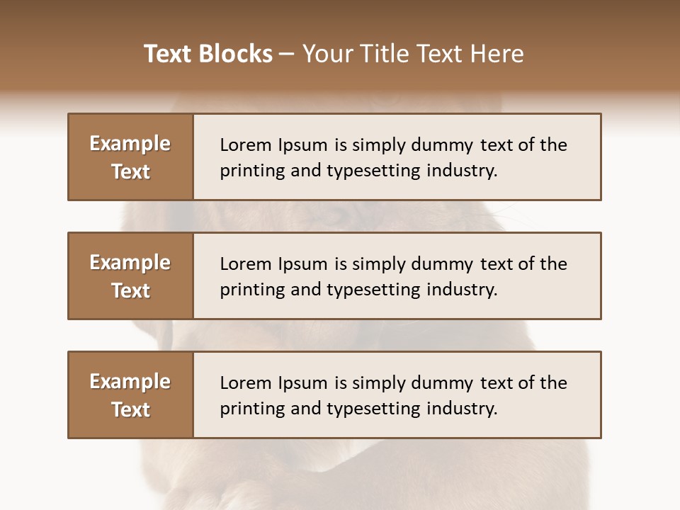 Square Image Brown Young PowerPoint Template