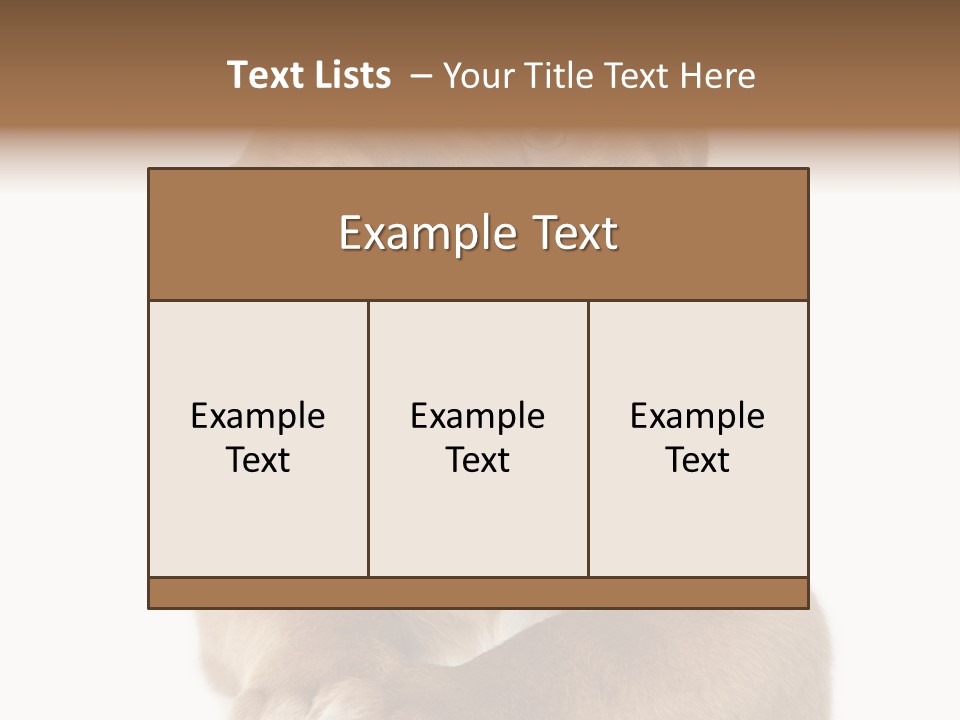 Square Image Brown Young PowerPoint Template