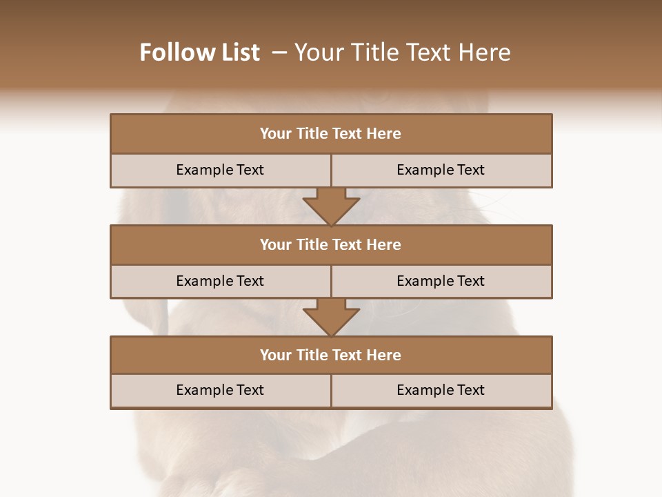 Square Image Brown Young PowerPoint Template