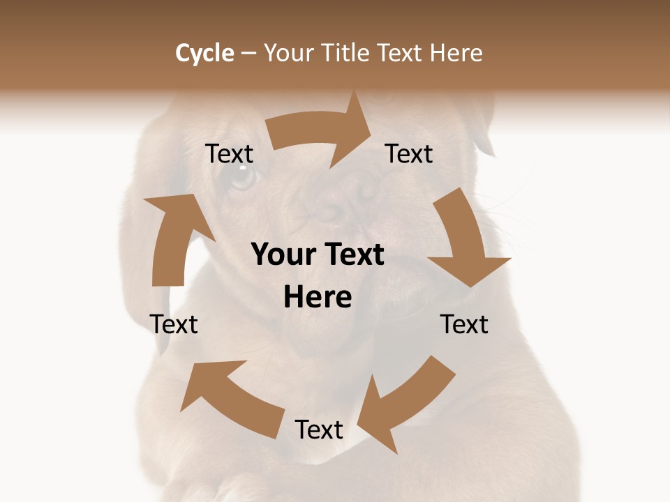 Square Image Brown Young PowerPoint Template