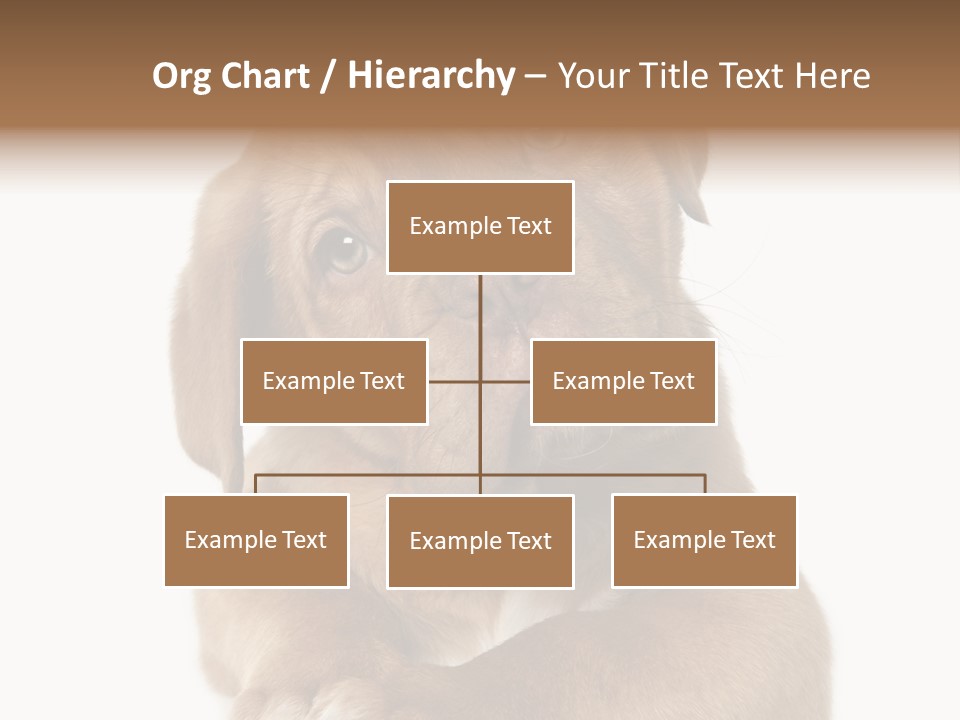 Square Image Brown Young PowerPoint Template