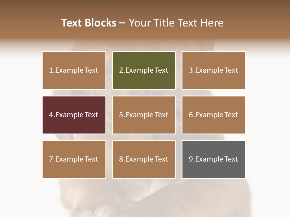 Square Image Brown Young PowerPoint Template