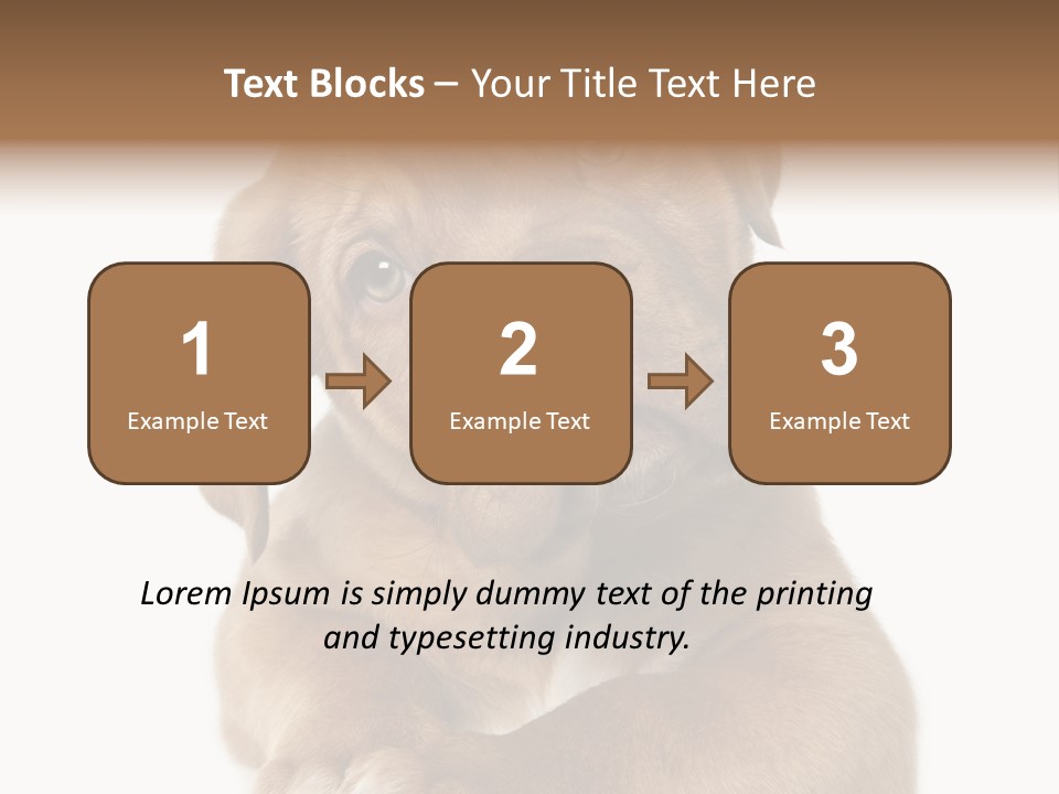 Square Image Brown Young PowerPoint Template