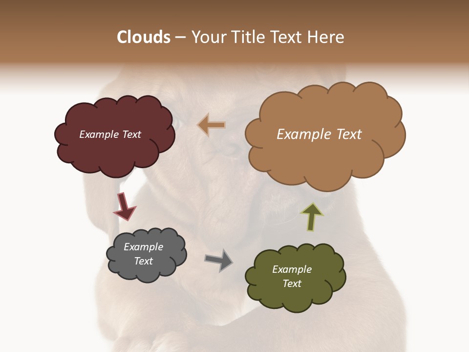 Square Image Brown Young PowerPoint Template